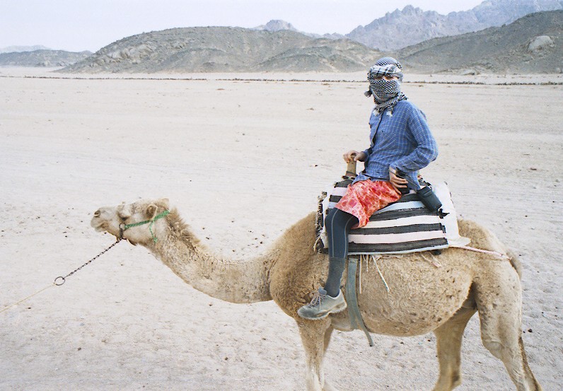camel riding again