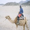 camel riding again