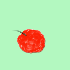 raspberry